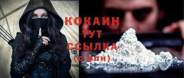 тгк Бородино