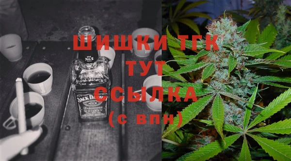 гашик Богородицк