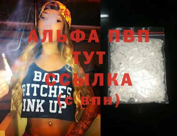 тгк Бородино