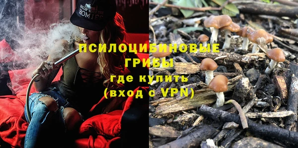 тгк Бородино