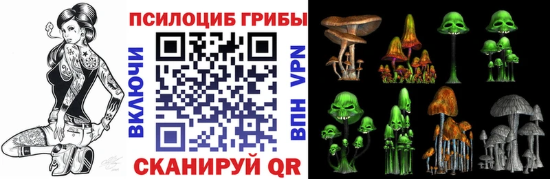 Галлюциногенные грибы Cubensis Дудинка