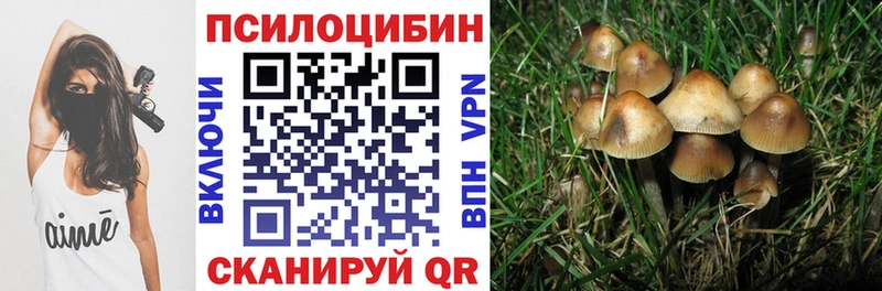 наркотики  Дудинка  Галлюциногенные грибы прущие грибы 
